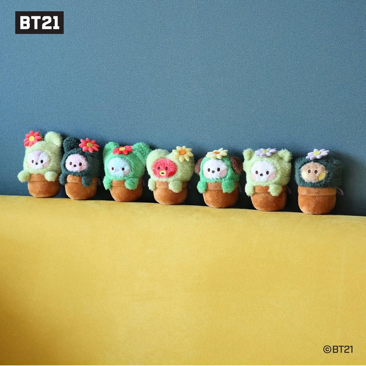 sunny succulents plush BT21 Minini Succulents Plush Keyrings – SEOUL SUNNY